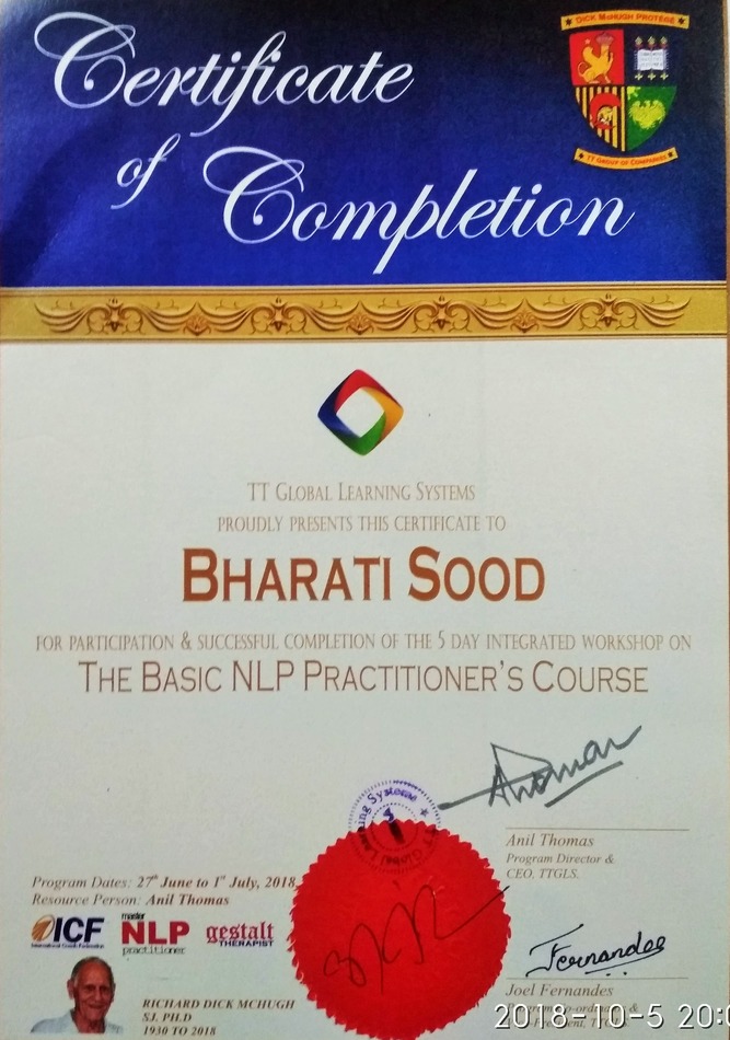 NLP Practitioner